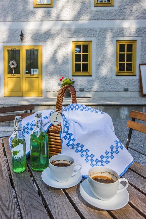 Boutique Rooms Pri Rogovilcu Solčava Esterno foto