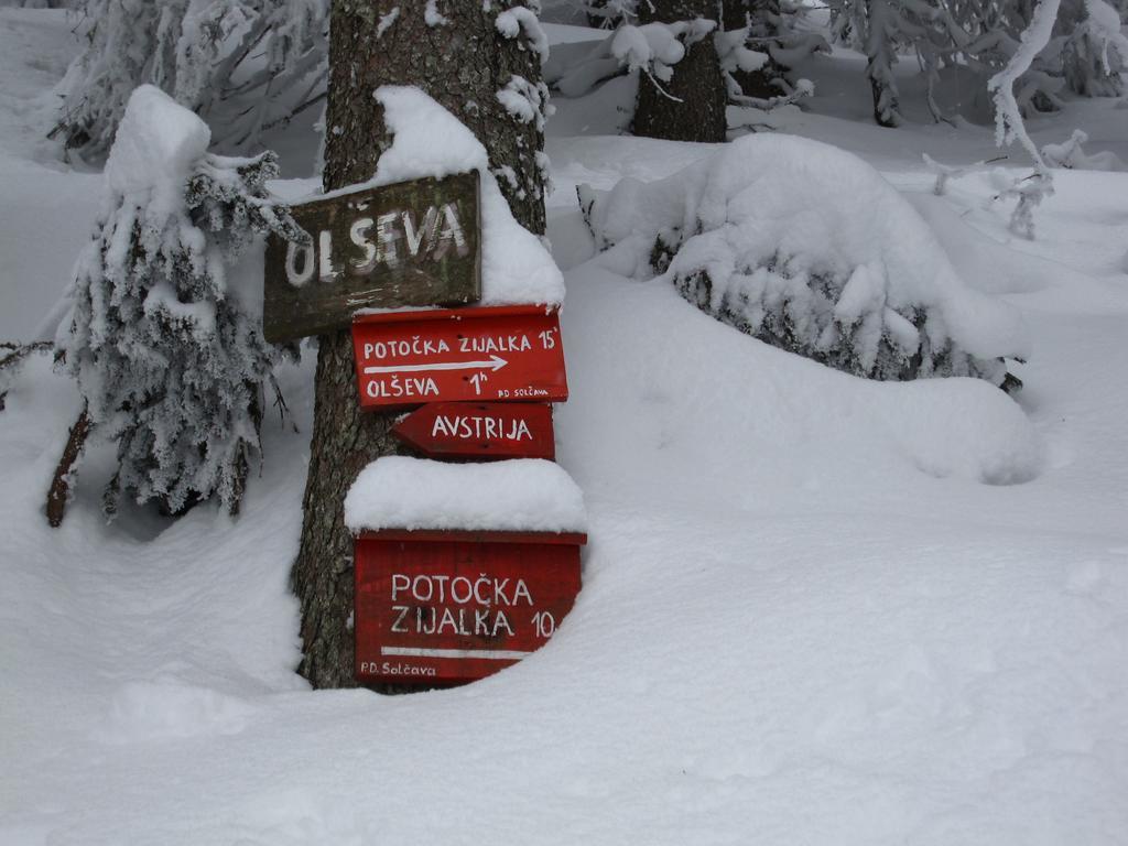 Boutique Rooms Pri Rogovilcu Solčava Esterno foto